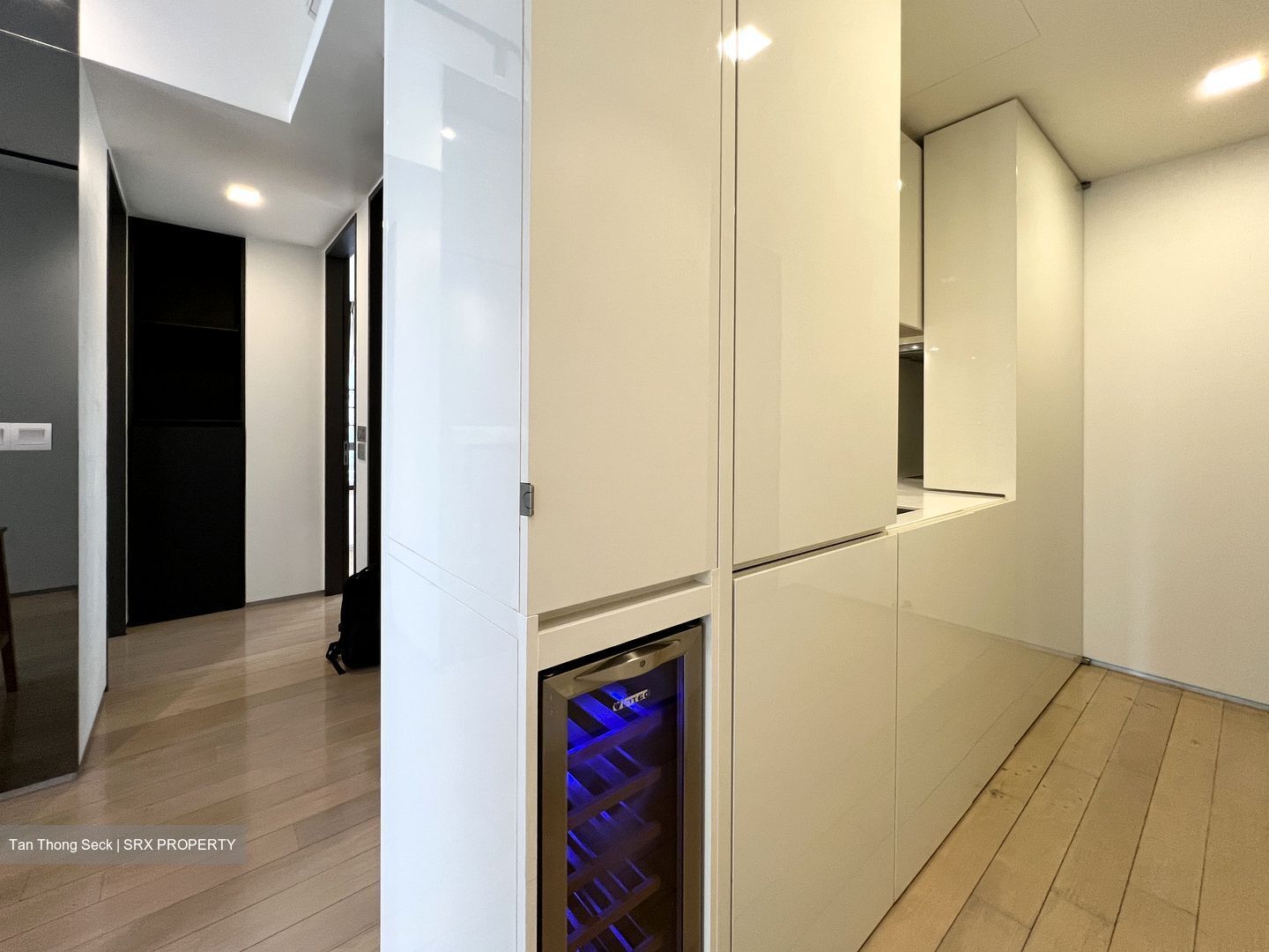 Skysuites@Anson (D2), Apartment #545358411